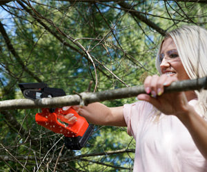 Minichain Saw a 89,99€